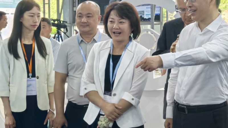 变速箱配件维修：关键步骤与注意事项**